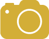 Section Title Icon